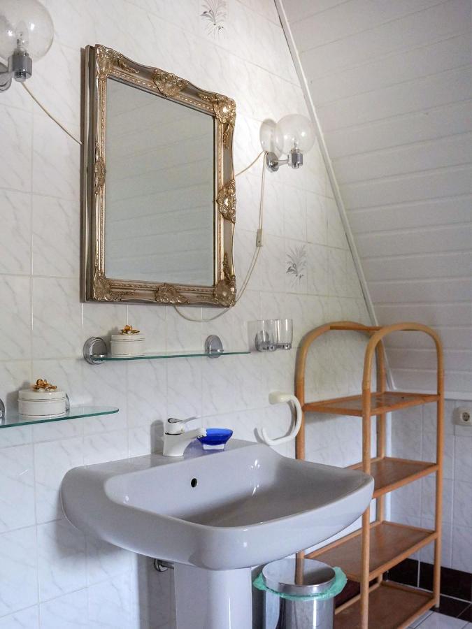 Apartment In Villa Rochlitz מראה חיצוני תמונה