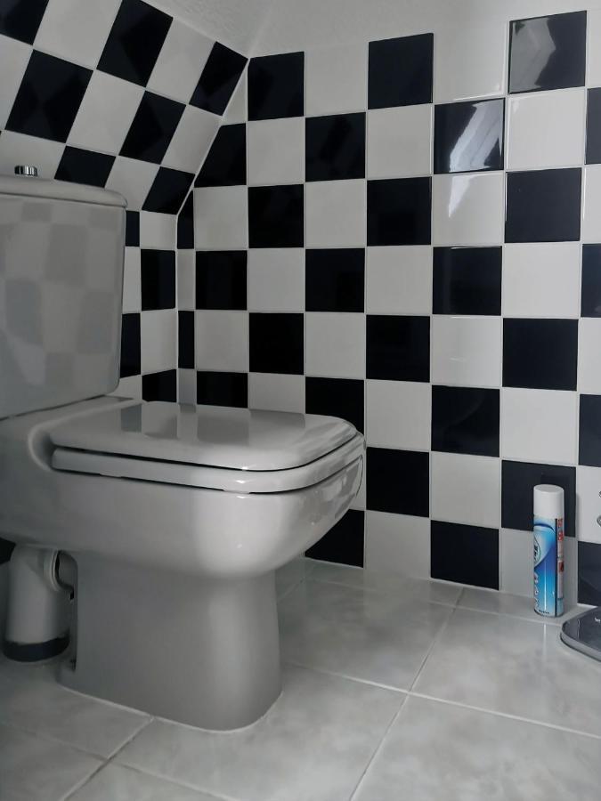 Apartment In Villa Rochlitz מראה חיצוני תמונה