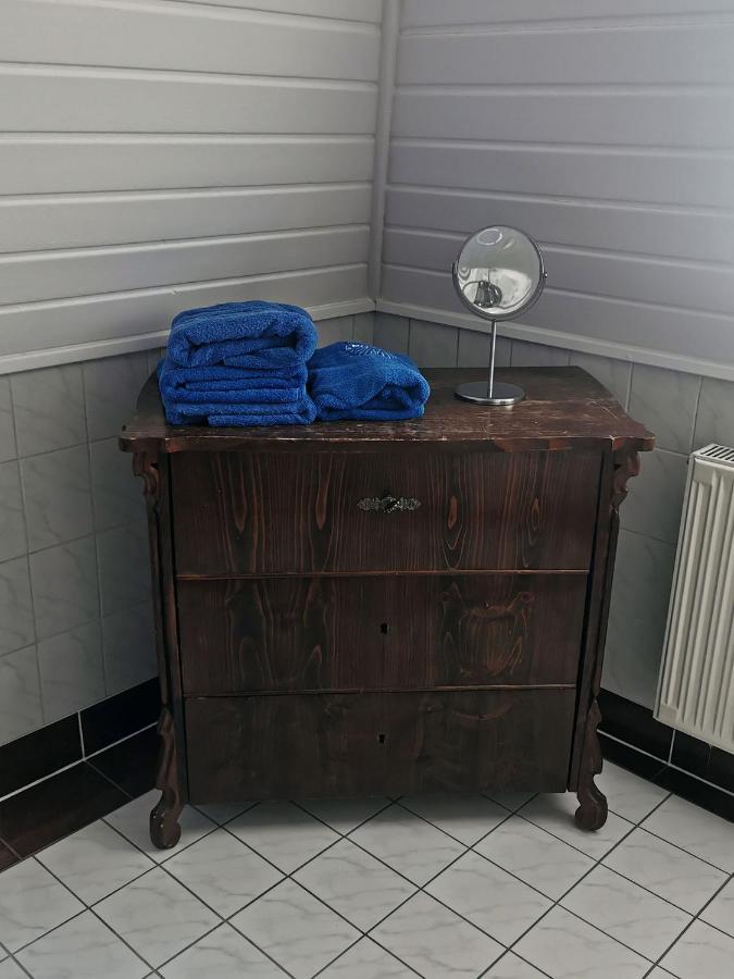 Apartment In Villa Rochlitz מראה חיצוני תמונה